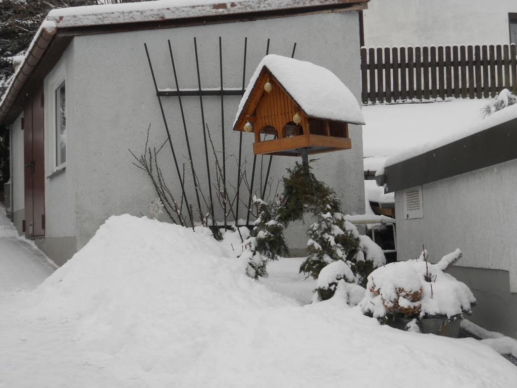 Ferienhaus Zittau Oberlausitz & Ferienwohnung Am Hamann Berg Esterno foto