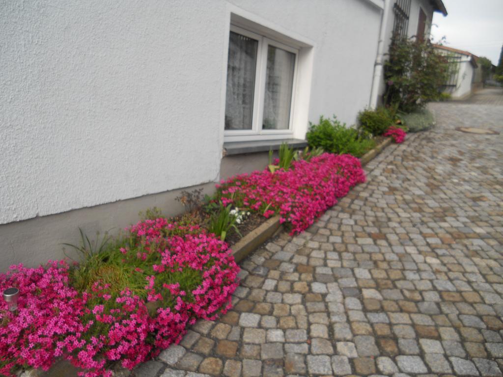 Ferienhaus Zittau Oberlausitz & Ferienwohnung Am Hamann Berg Esterno foto